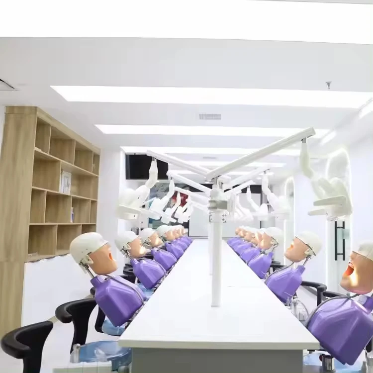 Four handed operation dental care model clinical teaching dental simulator