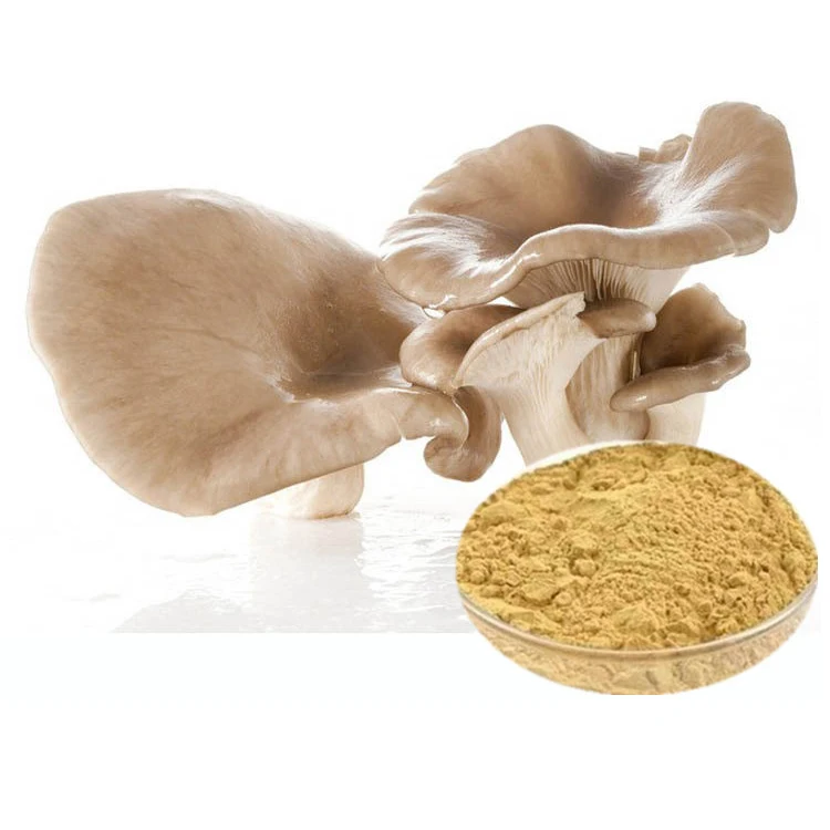 
Oyster Mushroom Extract mycelium 30% Polysacharides by UV-VIS Pleurotus Ostreatus powder 