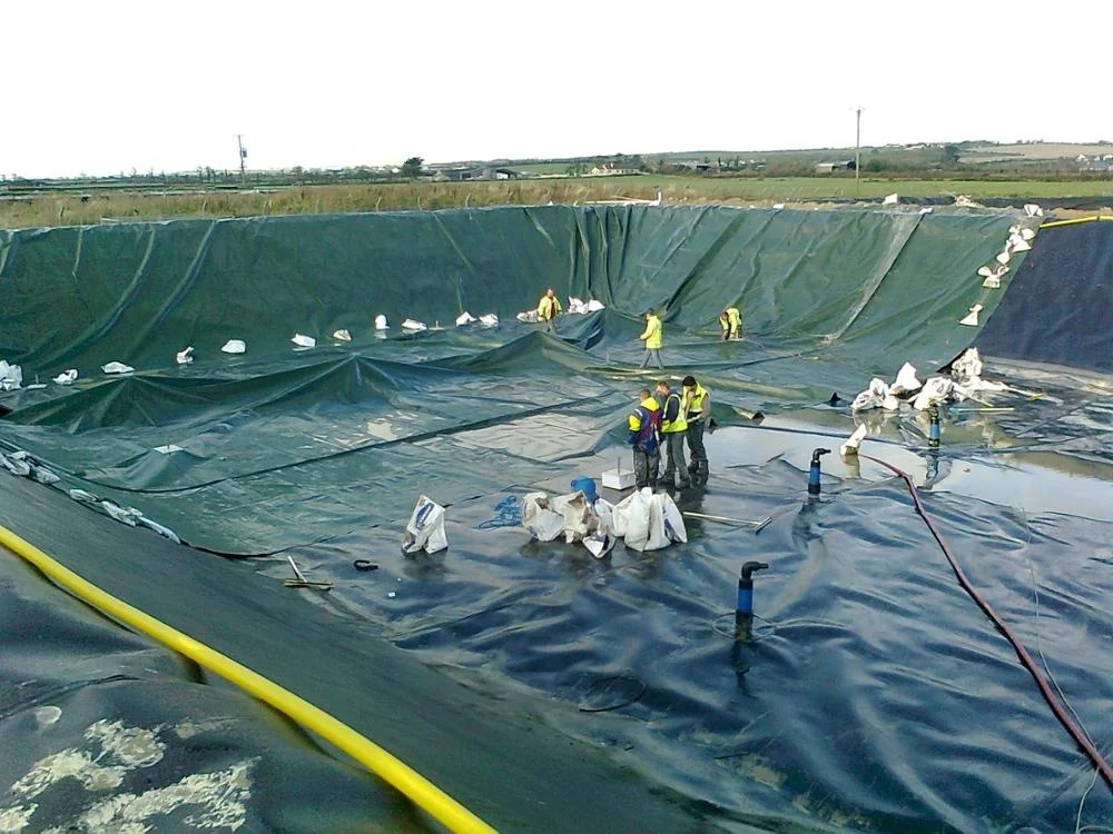 Wholesale price hdpe sheet plastic liner high density polyethylene geomembrane  2mm thickness hot sale high performance