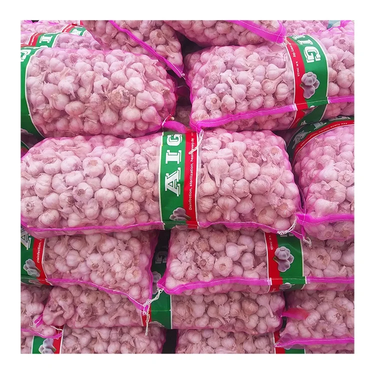 Top grade wholesale dry garlic factory price fresh white garlic supplier new crop organic type garlic wholesale for export
