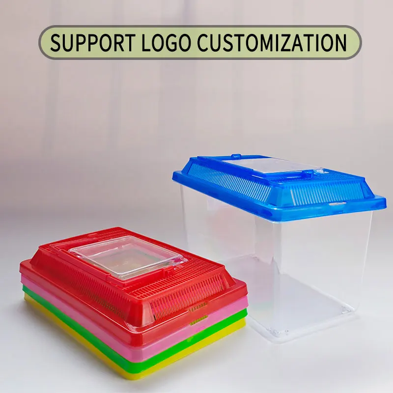 LOW MOQ Acrylic Transparent Reptile Tank Pet Feeding Box Portable Plastic Insect Terrarium  For Unicorn Beetle Baby Lizard