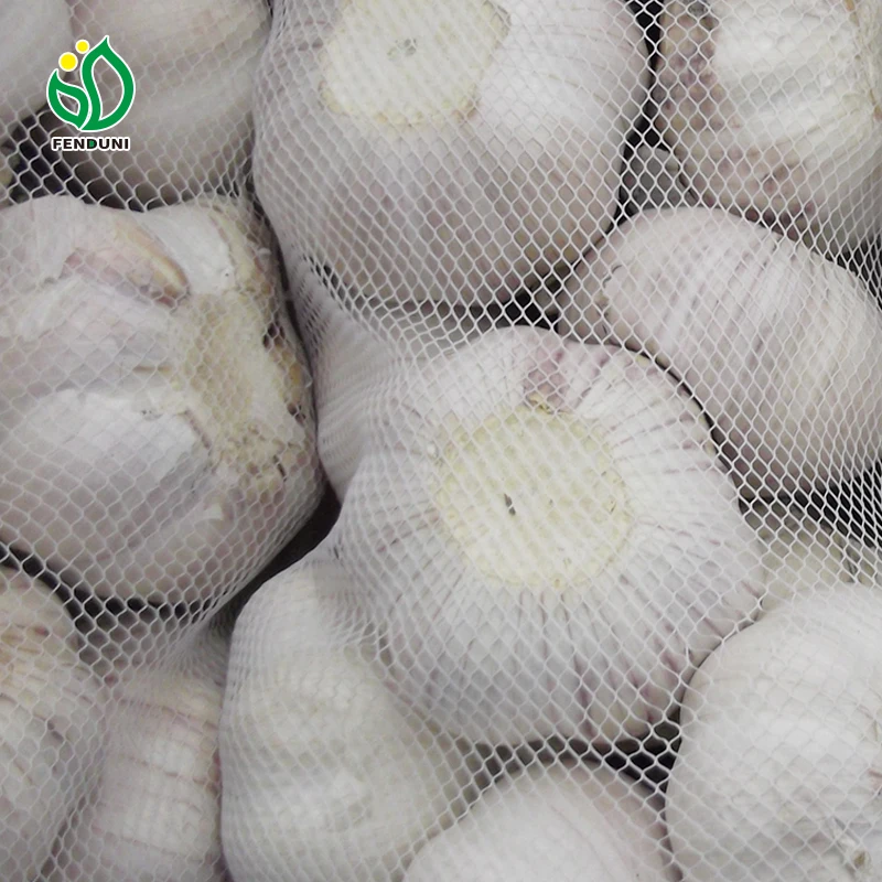 Органический чеснок свежий чеснок 250 г/пакет, принимает массу весом до 5 кг/коробка для Судан