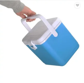 kbcool 4.5L Portable Insulation Cooler Box Factory Wholesale PP/PE Material for Food Beer & Drink Storage