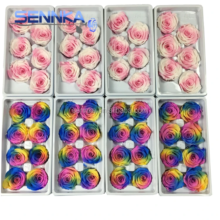 2019 best price China supplier preserved rainbow roses wholesale eternity roses for Christmas