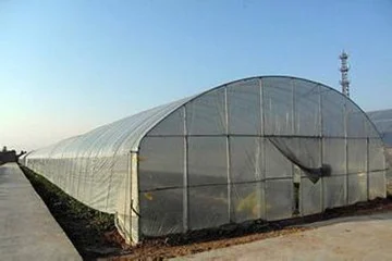 FUMA сельскохозяйственная теплица экономичная пластиковая для овощей туннельная