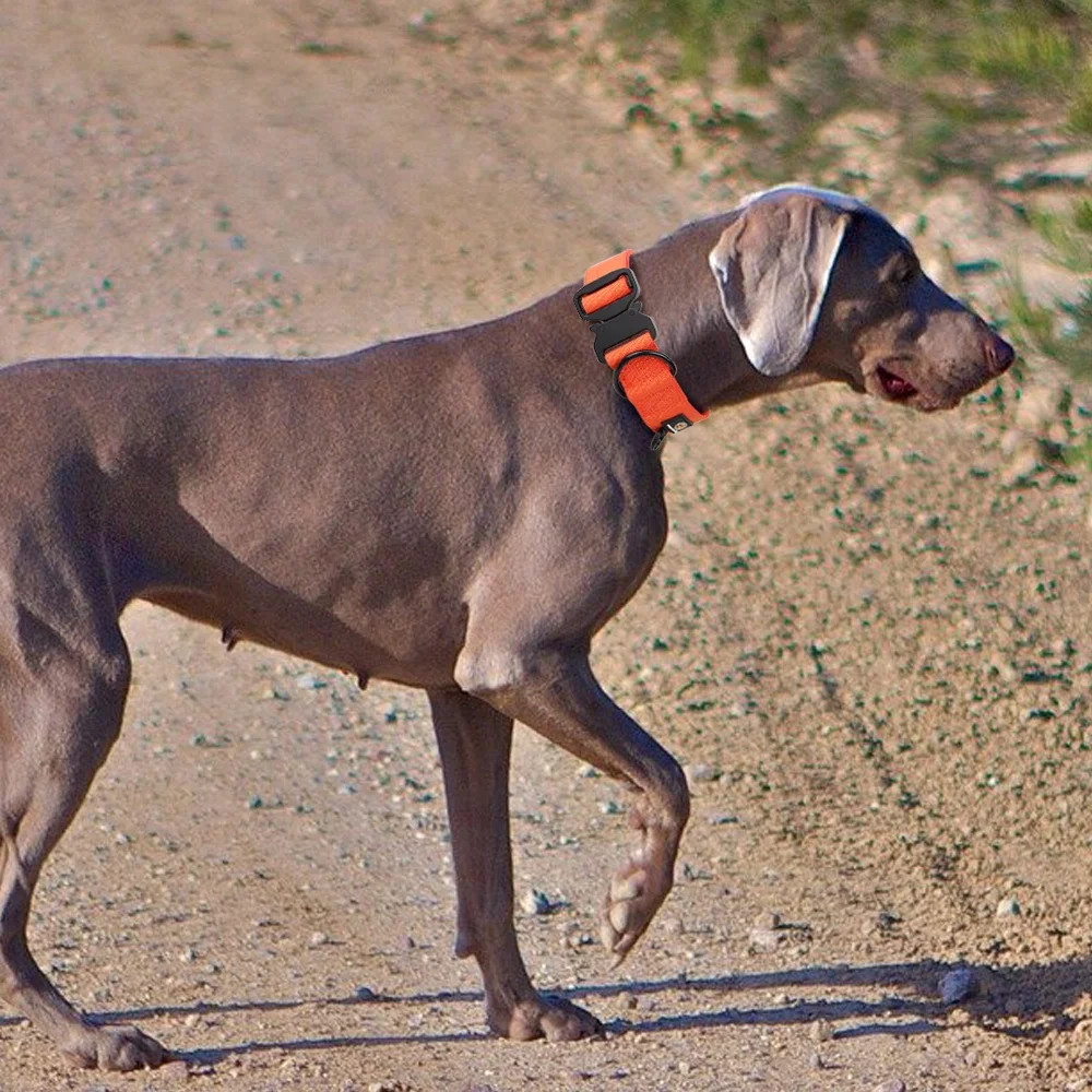 Wholesale Factory Pet Tactical Dog Collar Adjustable with Heavy Duty Metal Buckle Nylon Pet Training Dog Collar