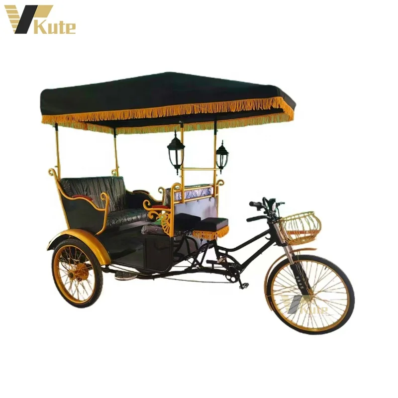 Electric sightseeing trolley tourist car red passenger rickshaw/OEM electric rickshaw tricycle tuk tuk rickshaws for sale