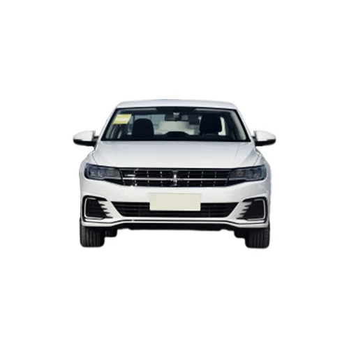 E Bora высокоскоростной город использовать 5 сидений 4 двери электрический автомобиль левая рука