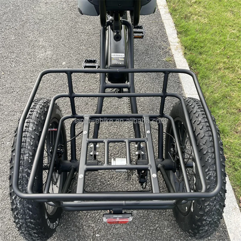 OEM Factory Custom Trike Family 48v Large Load Capacity Electric Tricycles Bike for Adults