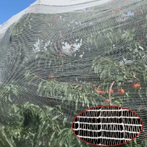 100% Virgin HDPE Monofilament Anti-Insect/Hail Bird Netting Heavy Duty for Garden Vegetable Plant Crop Protection