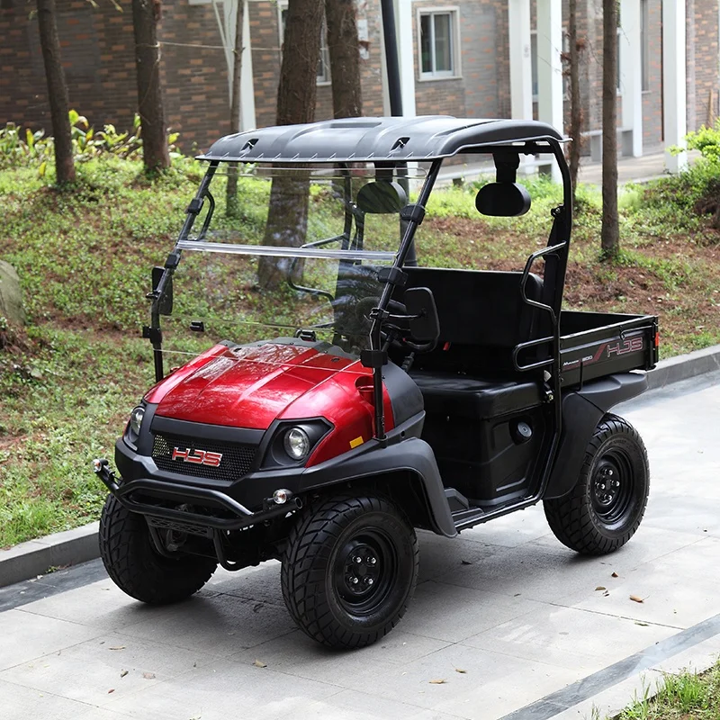  60 в 5 кВт 2 пассажира UTV ферма электрическая с грузовым ящиком и ветровым