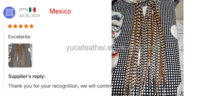 Cheap Large Natural Reeves Pheasant Tail Feathers 90-100CM for Carnival Samba Pattaya performances