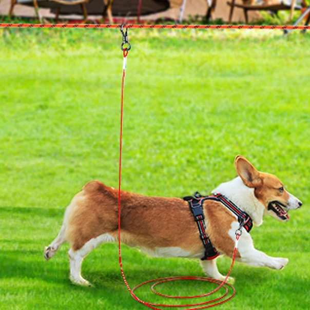 Strong Durable Nylon Dog Training Leash Traction Rope Feet Long 5/8 3/4 1 Inch Wide For Small And Medium Dogs