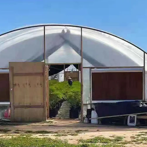 Factory direct selling low-cost multi span agricultural greenhouse +agricultural film