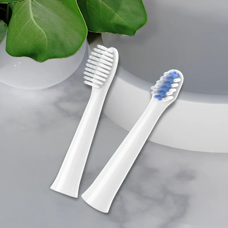 HEPONKAL compatible with Panasonic electric toothbrush head EW-DM71/PDM7B/DC01/DC12/DPDL replacement