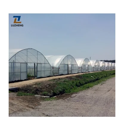 Plastic Film Greenhouse for Farming Agriculture of Vegetables/Flowers/Tomato/Garden with Self-control System
