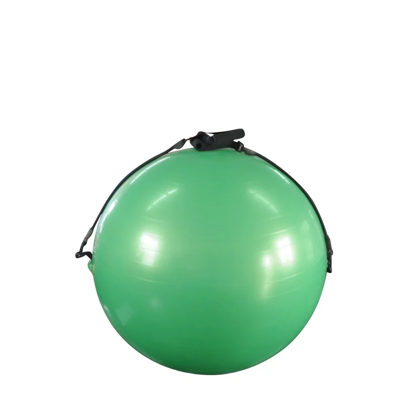 55cm 65cm 75cm Pvc Colorful Exercise Gym Yoga Ball With Air Pump