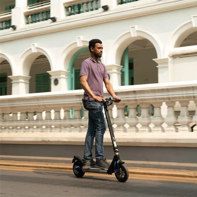 ZETAZS Ranger electric scooter Lite version  36V 7.8Ah 700W Adult Two Wheels Foldable Electric Scooter