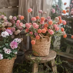 Creative rural hand-held straw woven living room furniture with lining storage basket