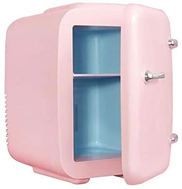 Customized mini fridge 4l car cooler and warmer 12 volt cooler fridge car