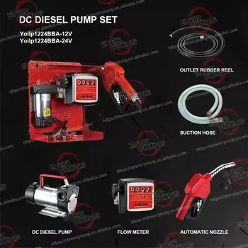 Portable 12V Diesel Dispenser Pump Kit Stainless Wall Mount Fuel Pump with CE Certification Electric OEM Customizable