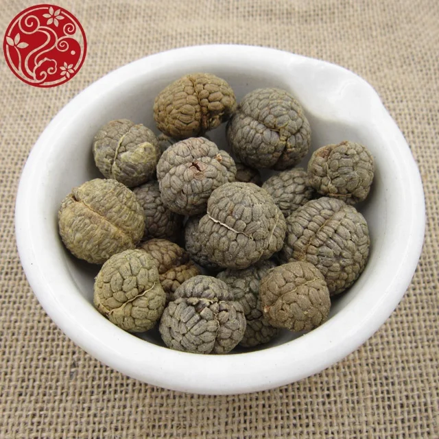 Semen Alpiniae Katsumadai Cao Dou Kou Katsumadai seed Dry dampness