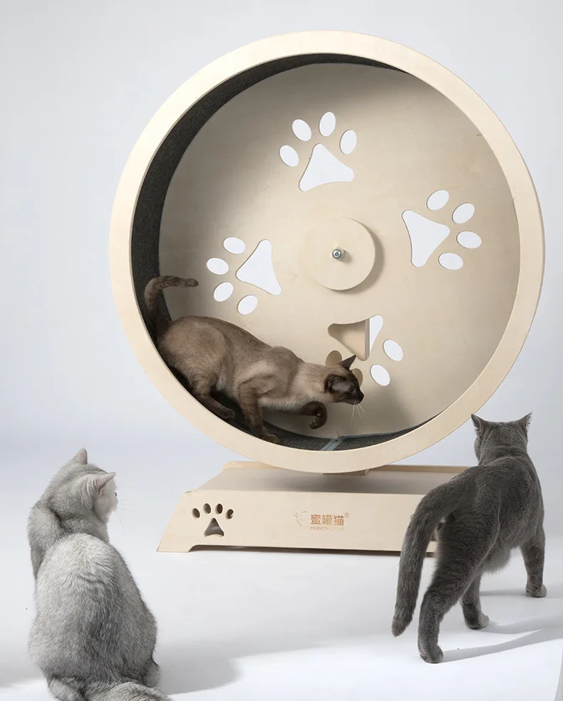 Pet Playtime Essential Indoor Cat Treadmill Exercise Wheel for Feline Fitness and Health Cat Exercise Wheel Equipment