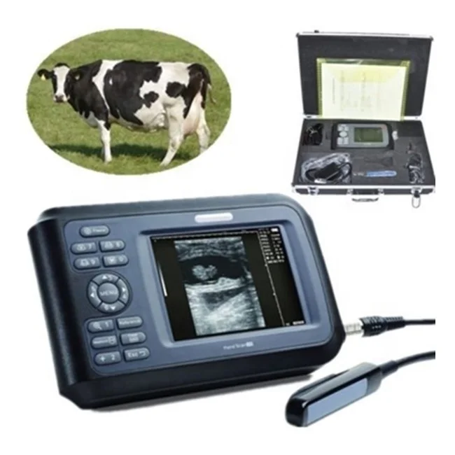 Handscan 5 дюймов V8 Портативный B/W Ветеринарный ультразвуковой сканер