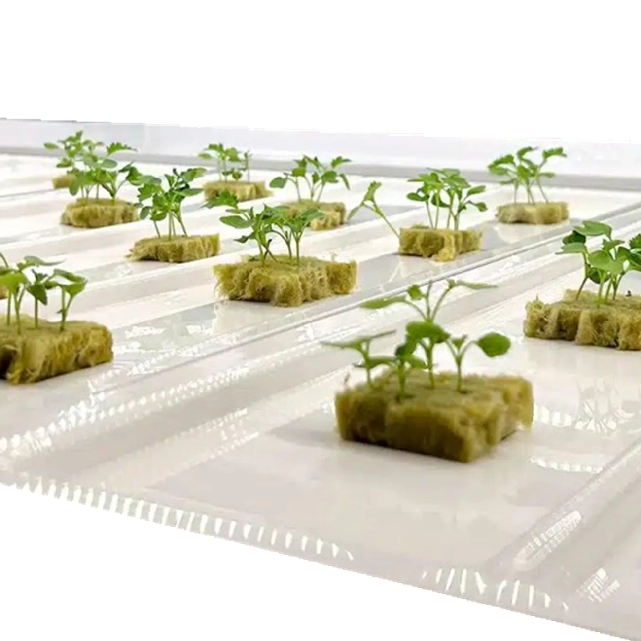 UPuper hydroponics farms cubes sponge 1x1inch planting vegetable seeds greenhouse tomato vertical farming