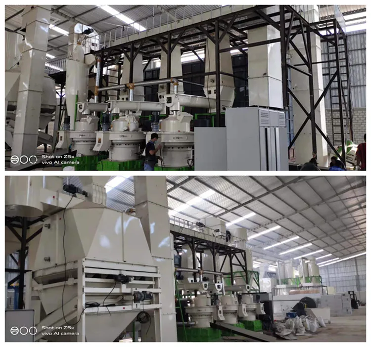 Widely Selling 10-20ton/hr Pellet Line Biomass Machine Pellets Line with CE