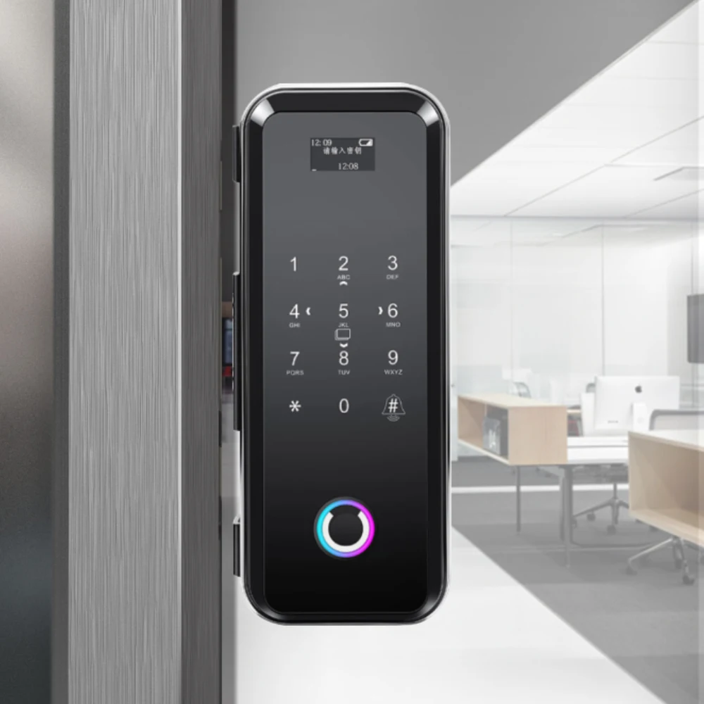 Remote Control Password Hotel Office Stainless Steel Latch Touchpad Smart Gate Glass Door Lock