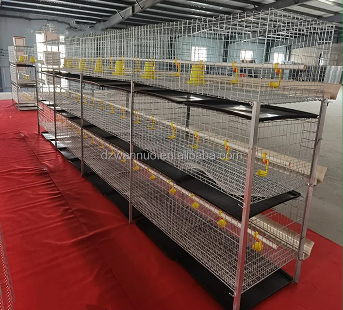 Poultry Farming Equipment Automatic Drinking Battery H Type Broiler Chicken Breeding Cage Motor New Product 2020 Provided 10sets