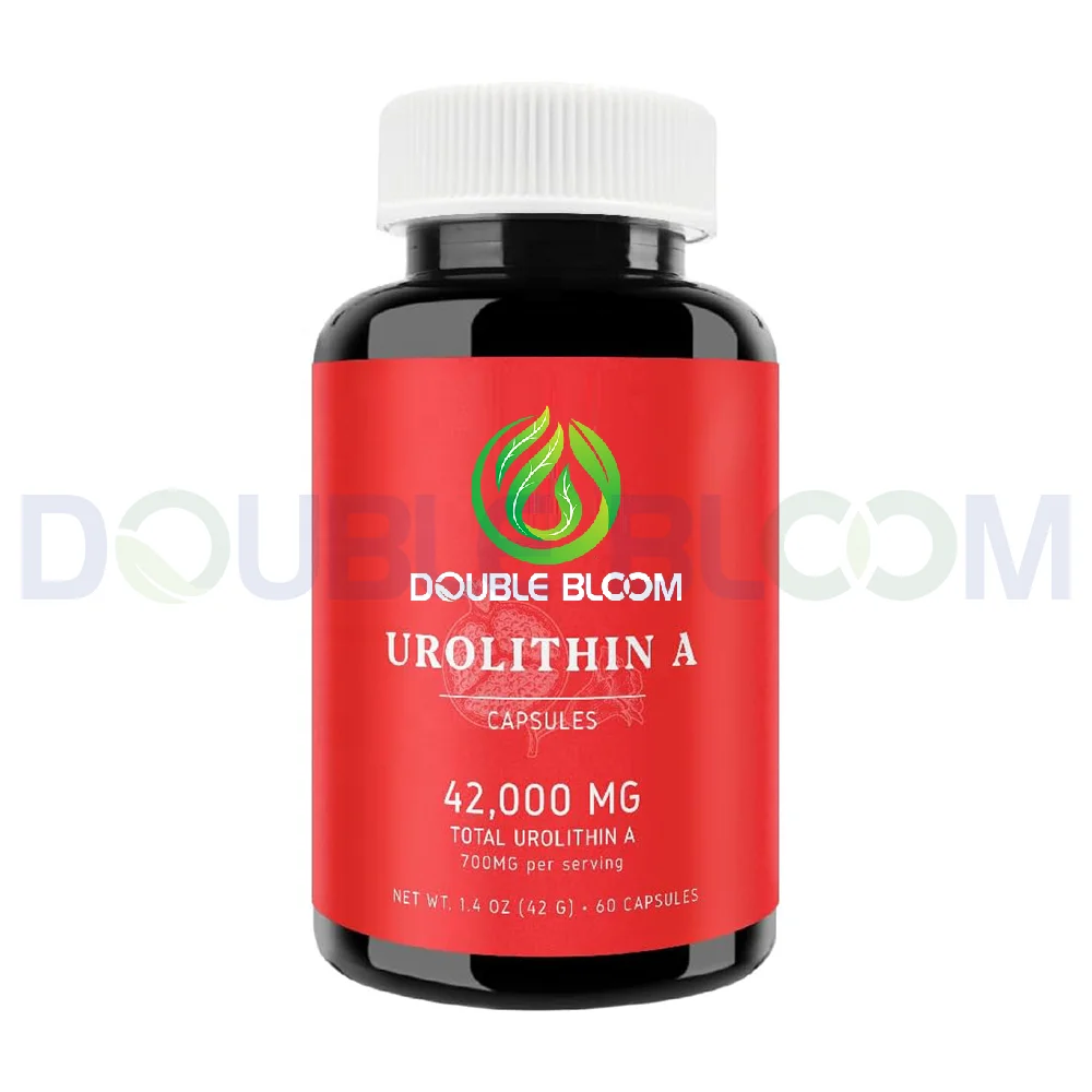 Urolithin A capsules.Hot selling urolithin a powder 98% Urolithin A Capsules For Anti-Aging and Cellular Health