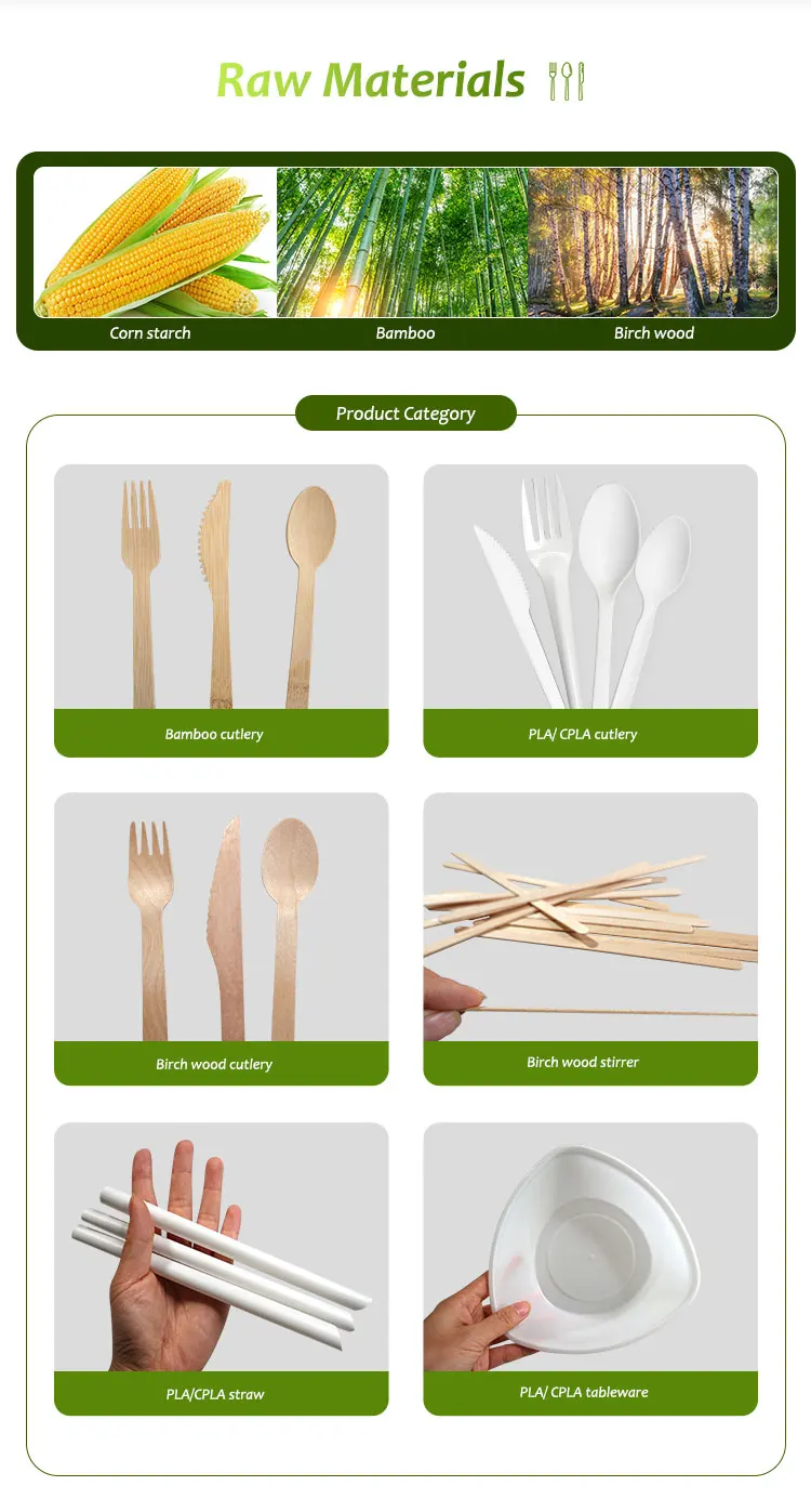 User-friendly disposable cutlery compostable small biodegradable ice cream spoon