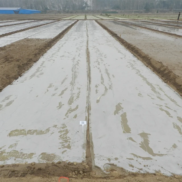 Eco Friendly Pbat PLA Biodegradable Mulch Mulching Film for Agriculture
