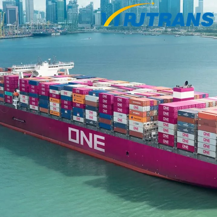 The cheapest freight forwarding sea shipping from China to Red sea JEDDAH SOKHNA AQABA ADEN SALALAH BEBERRA MUKALLA