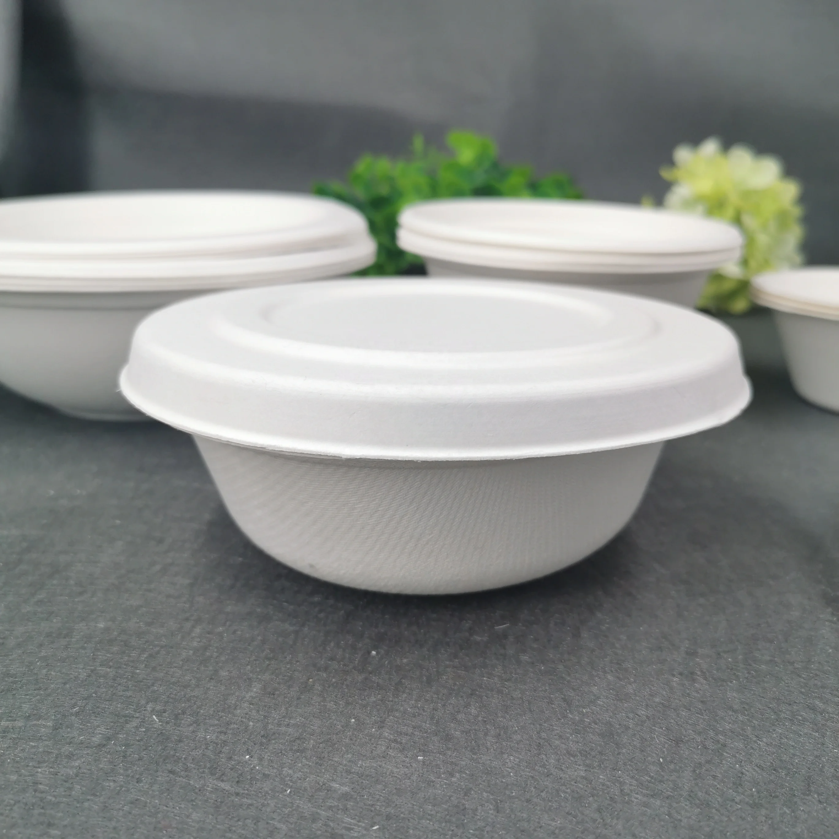 Eco Biodegradable 500 ml disposable sugarcane bagasse salad bowl sets bamboo tableware bio soup bowl with lid