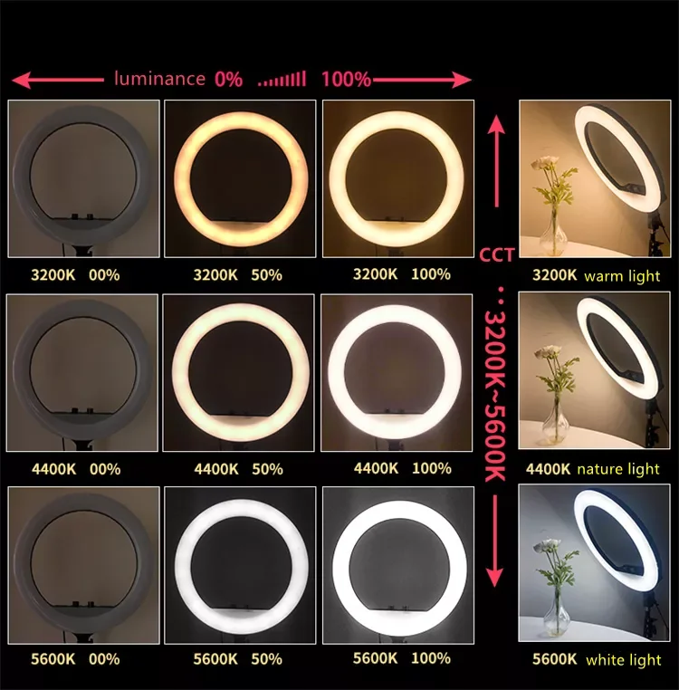 RL 14 Inch 36cm Led Selfie Ring Light 3 Phone Clips With Wireless Remote Videos Live Streaming Fill Light For Tiktok