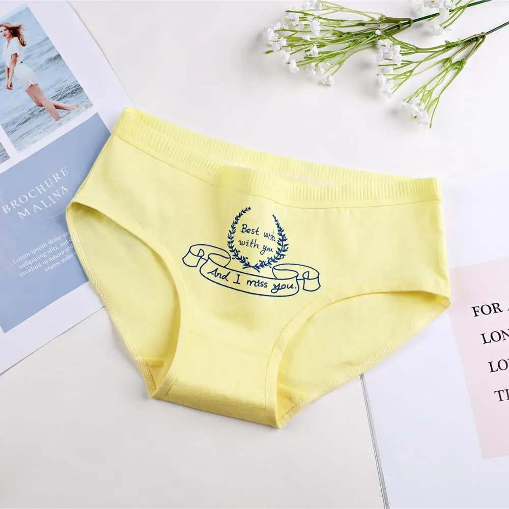 Wholesale Hot Sale stylish girl women lingeries underwear 100% cotton panties middle waist