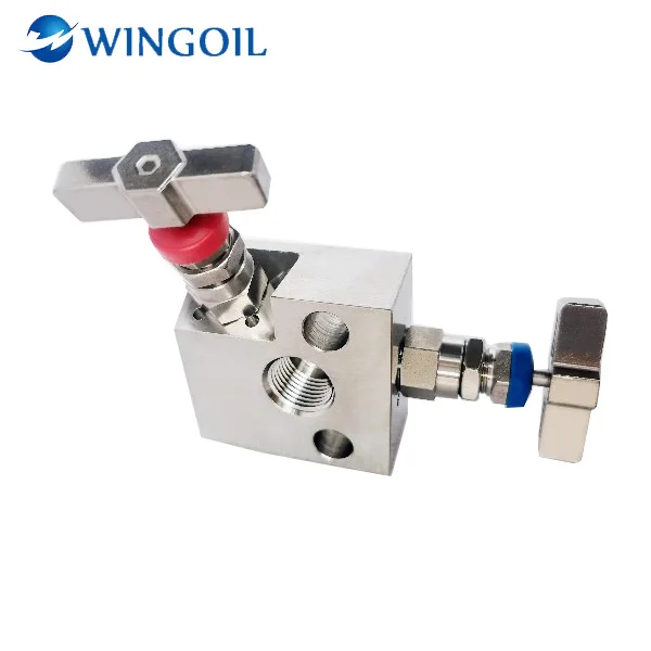 Flat Type High Pressure Flange Integrated Instrument Transmitter 2-Valve Manifold