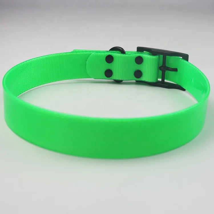 tpu dog collar (8).jpg