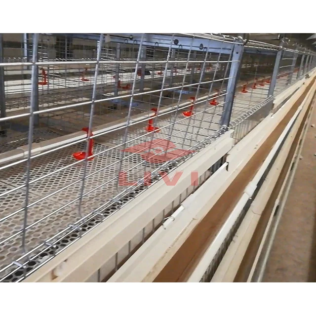 
Клетки для бройлеров LIVI на продажу, антикоррозийная и антикоррозийная Автоматическая куриная клетка для птицеводства 