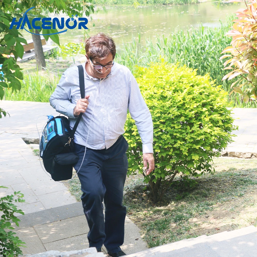 High quality factory price 1l 3l 5l portable oxygen concentrator with battery for