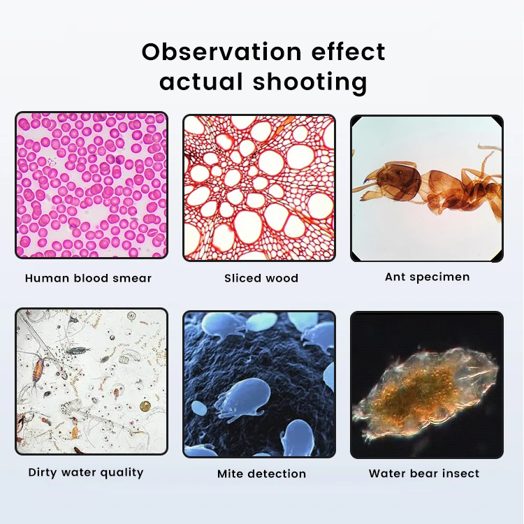 Clinical Binocular Optical LED Insect Biology Blood Microscope Laboratory Biological Video HD Digital Camera Microscope for Lab