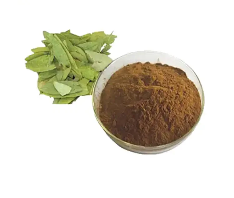 Pure Natural Plant Extract Senna Leaf Extract Sennoside 6% 10% 30%
