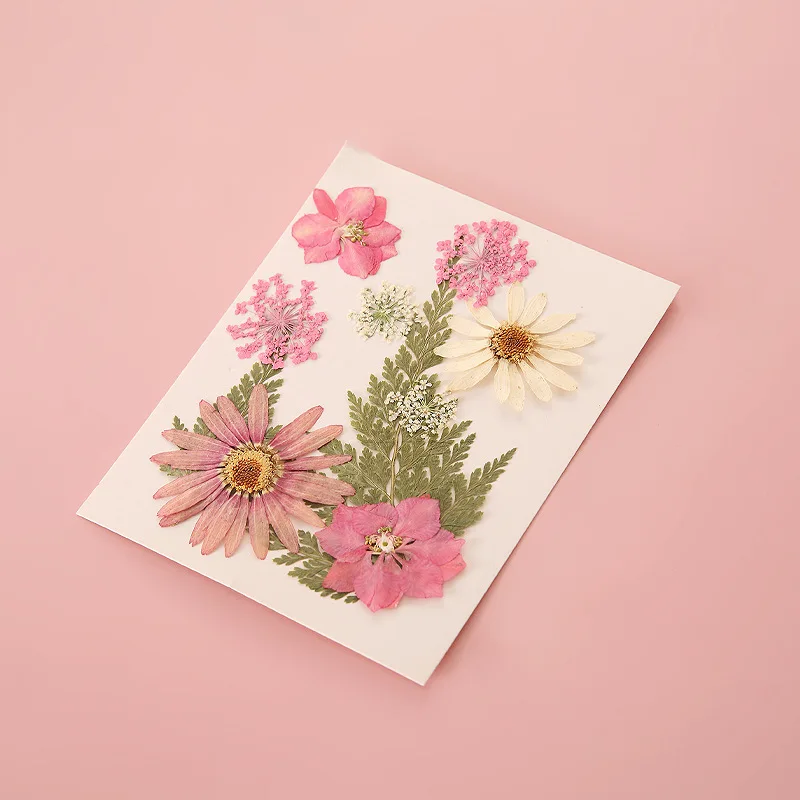 Dried flower bookmark creative hand-embossed diy real flower material package small gift Homemade plant specimen notes wholesale