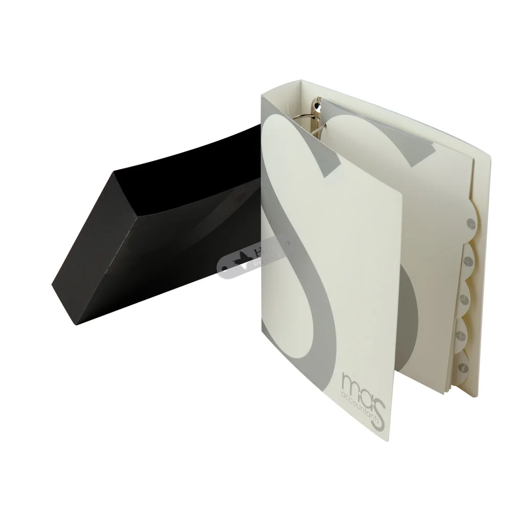 Wholesale Cheap Custom Logo PP Plastic File Folder with Slipcase
