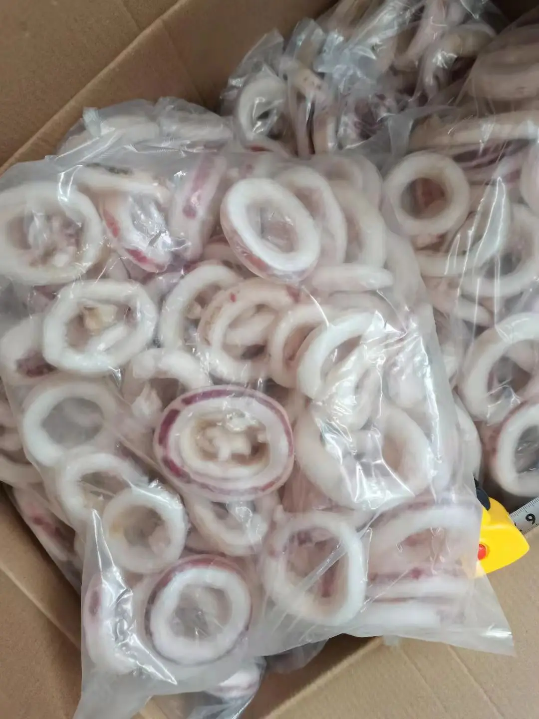 Frozen Seafood Squid Ring Indian Ocean Squid Ring Good Price