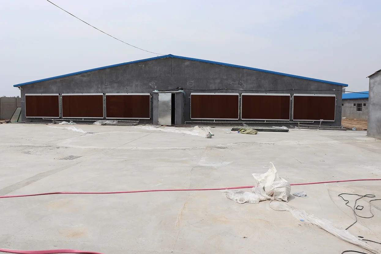 High-quality cooling pads are used for ventilation and cooling of chicken houses