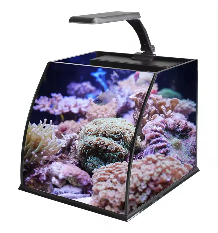Table Aquarium Curvedcurved Fish Tank Saltwater Marine Fish Tank Aquarium